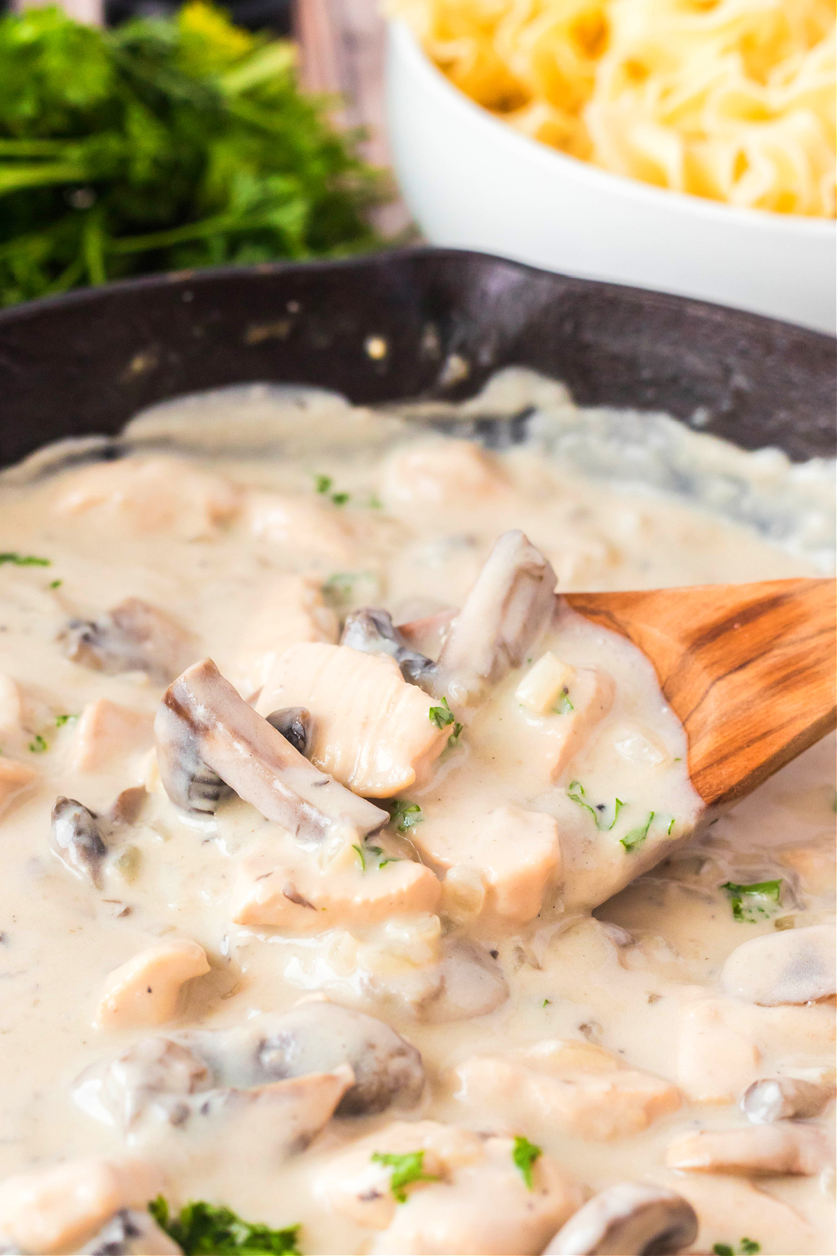 RECIPE STROGANOFF CHICKEN