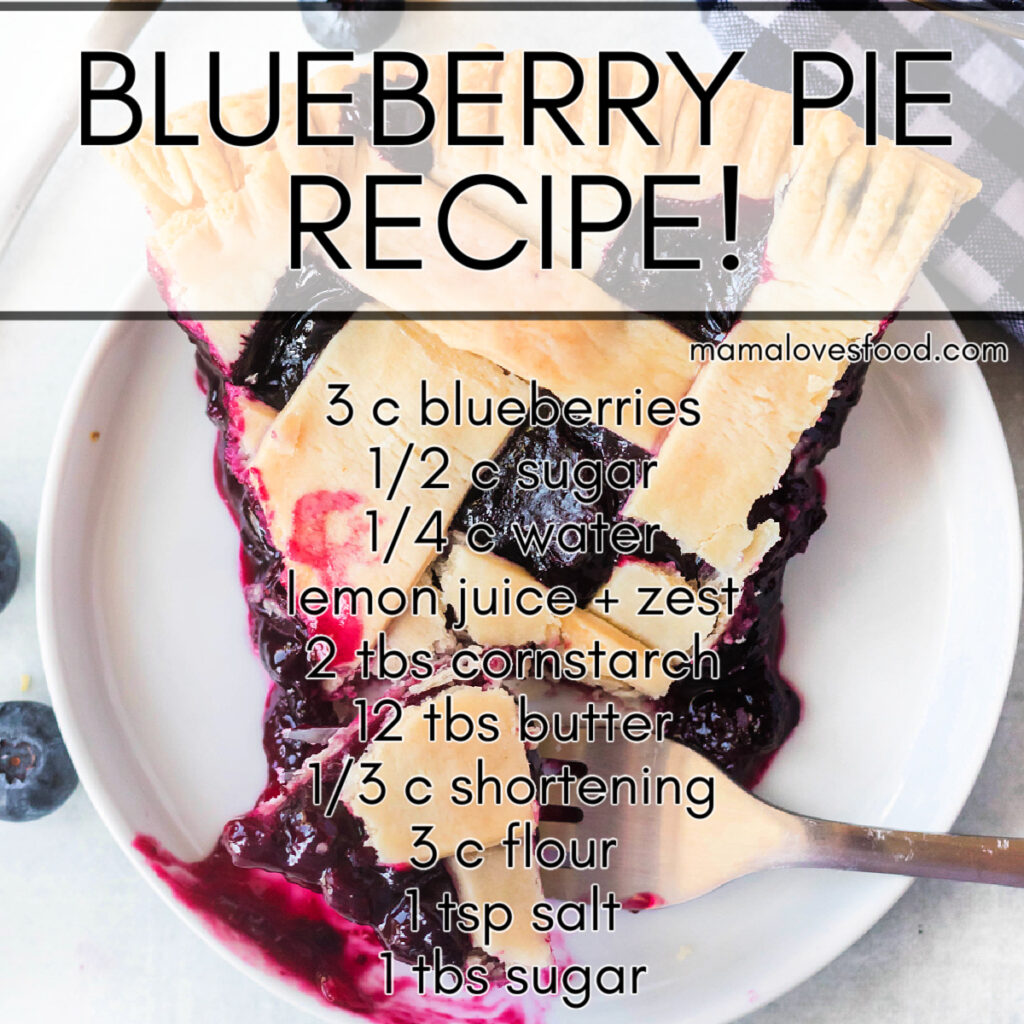 best blueberry pie
