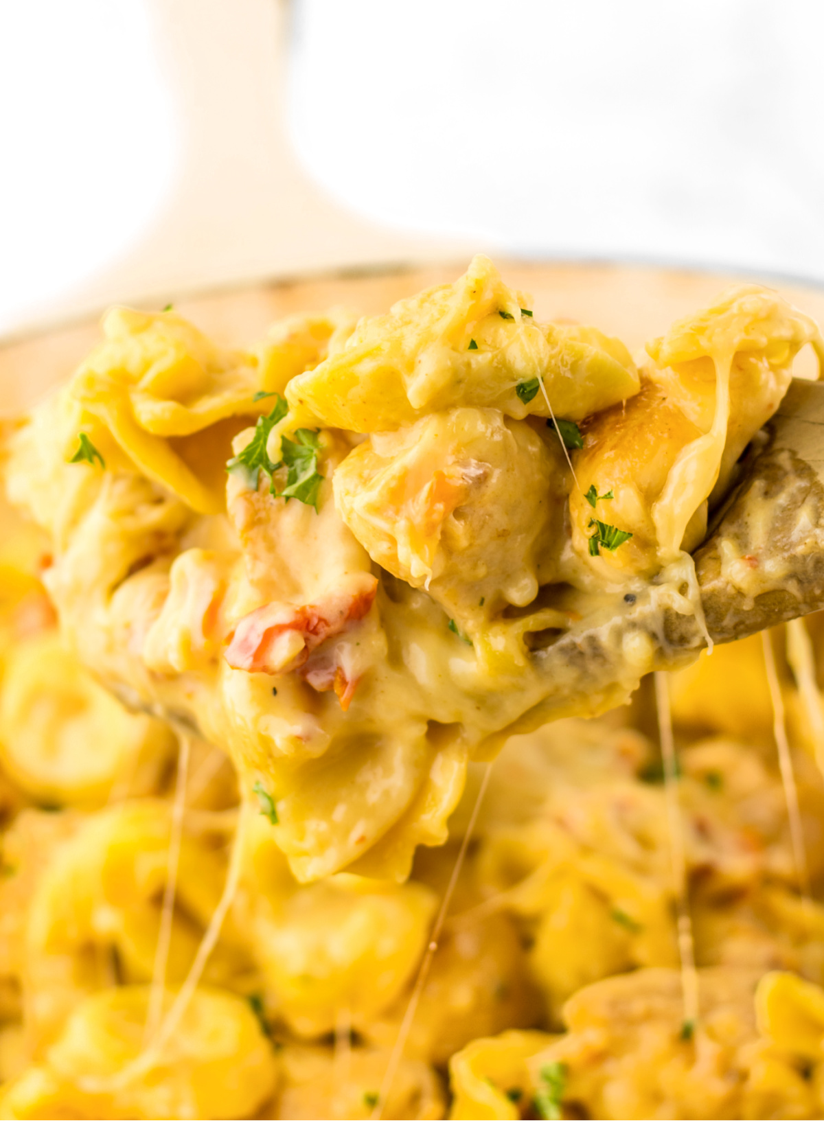MARRY ME CHICKEN TORTELLINI RECIPE