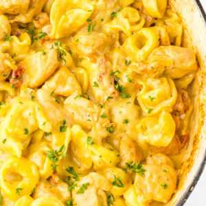 RECIPE FOR MARRY ME CHICKEN TORTELLINI