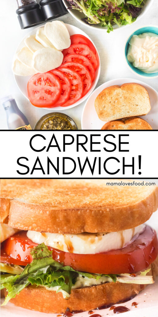 caprese sandwich with tomato and mozzarella