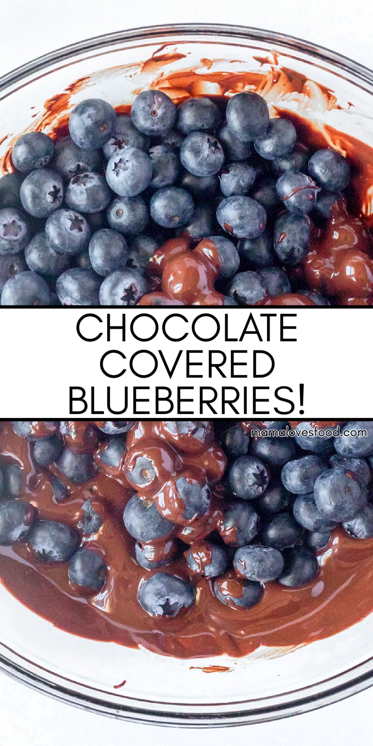 chocolate coated blueberries