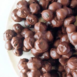 chocolate covered blueberries recipe