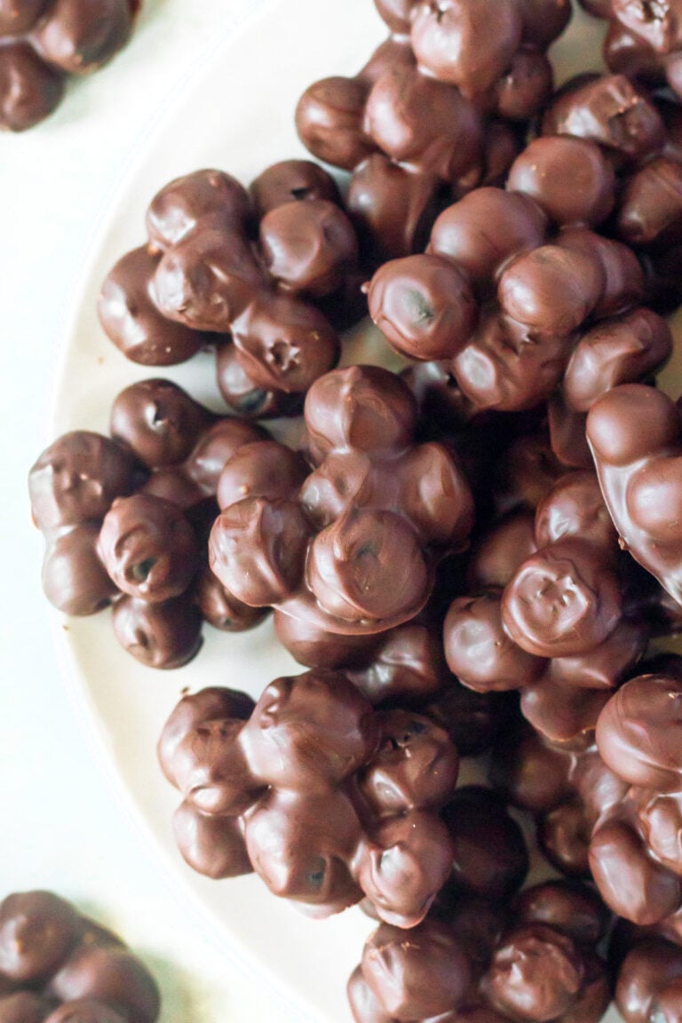 chocolate covered blueberries recipe