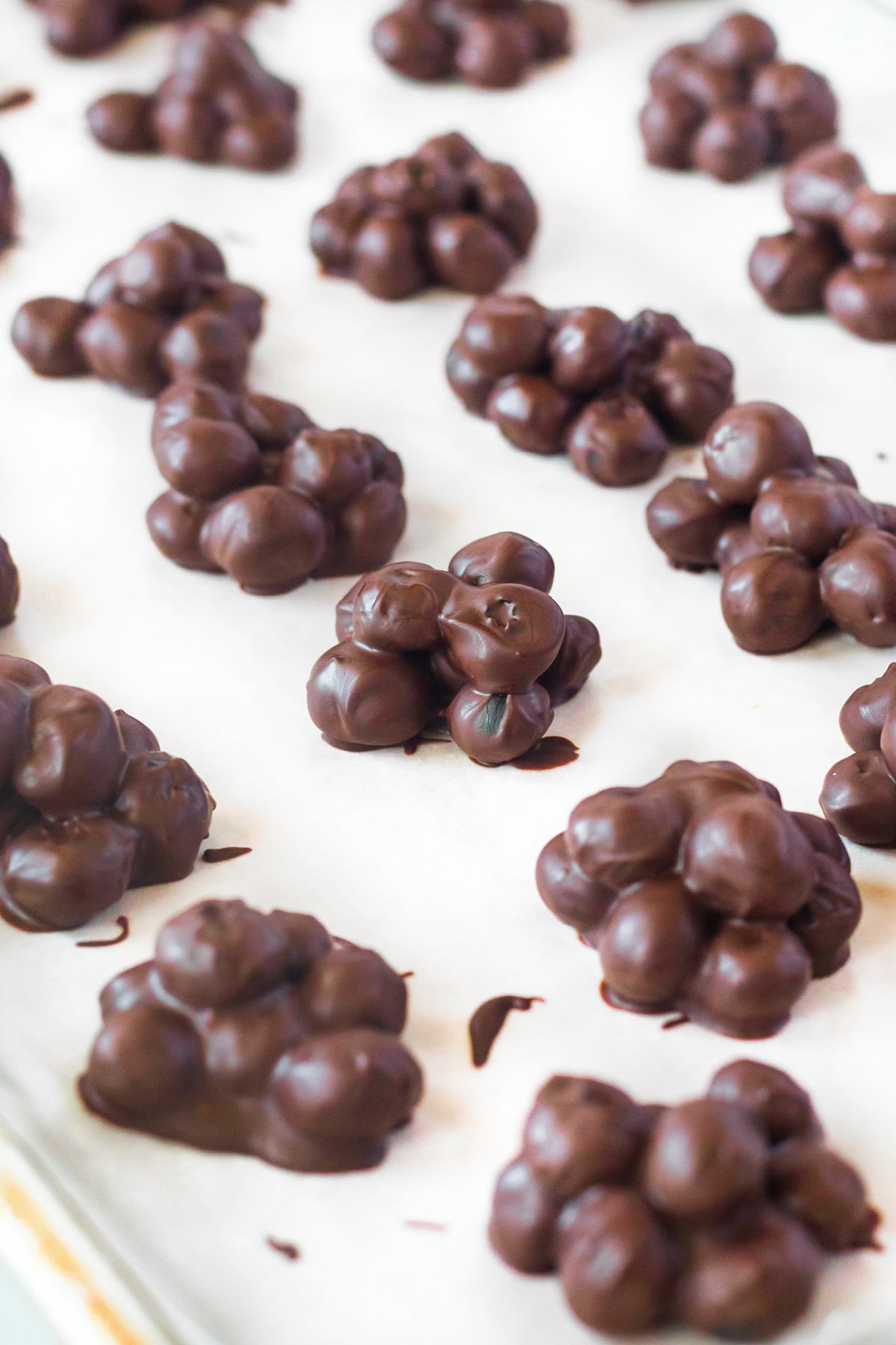 chocolate covered blueberry clusters