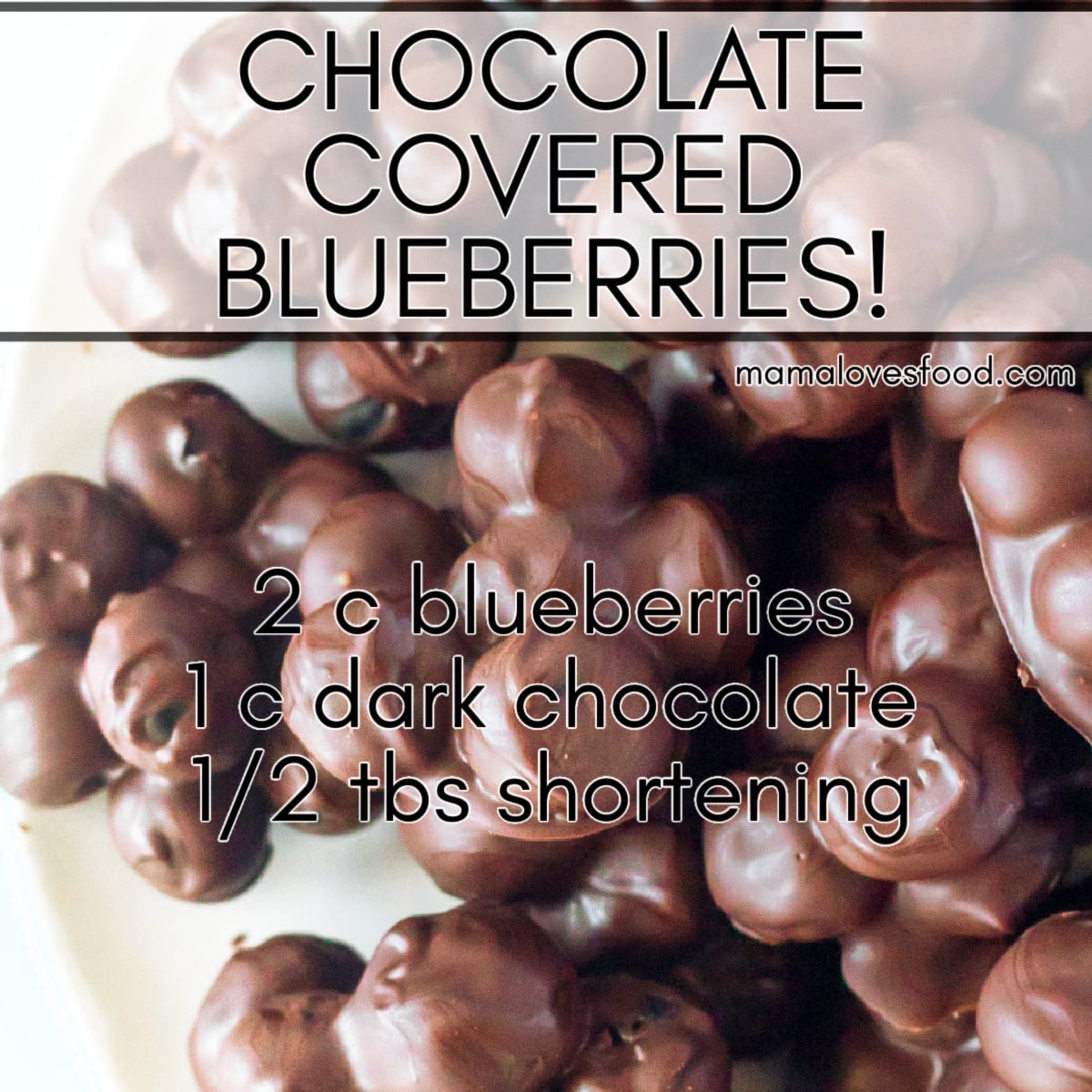 easy fresh blueberries covered in chocolate