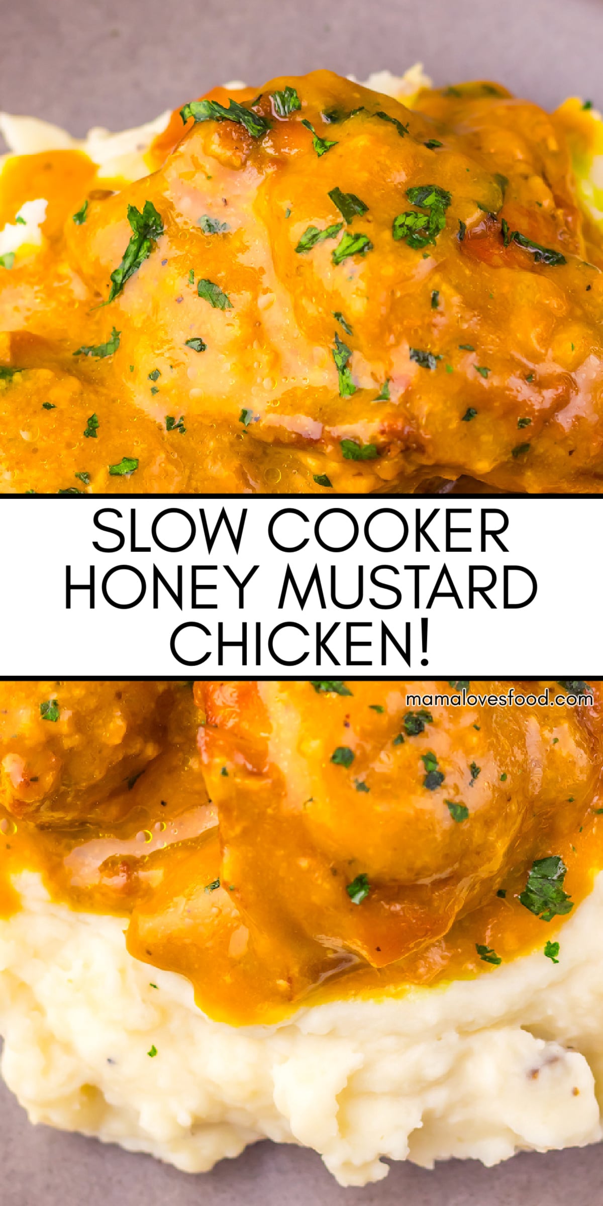 easy slow cooker honey mustard chicken recipe