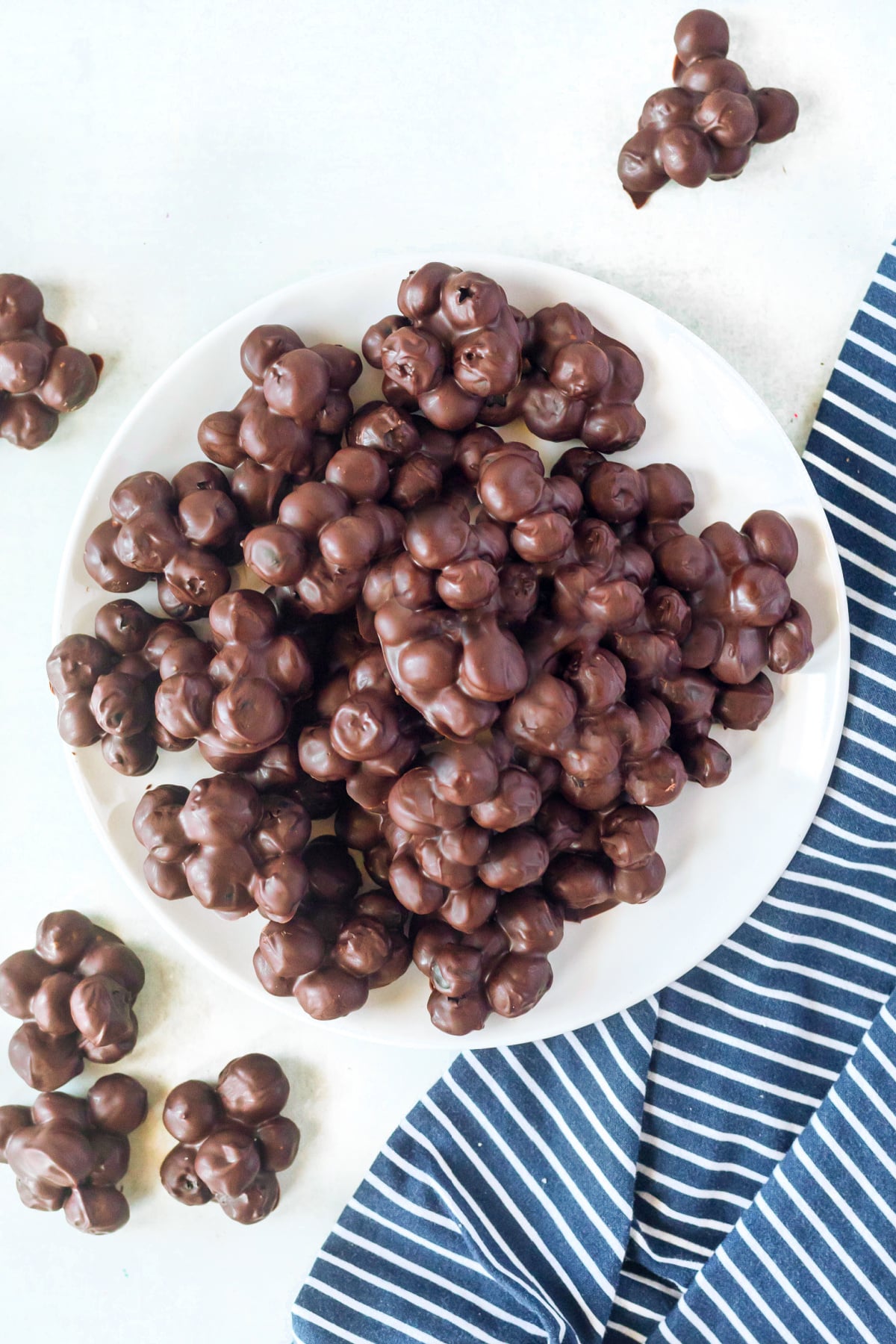fresh blueberries covered in chocolate