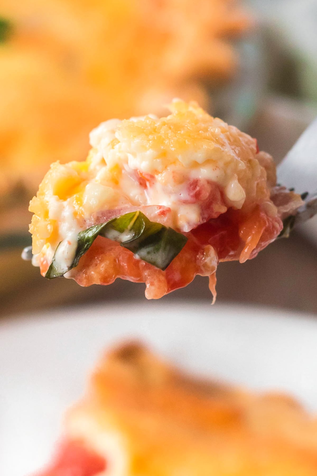 recipe tomato pie