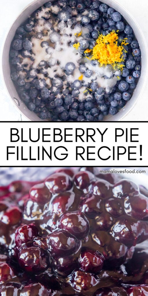 best blueberry pie filling recipe