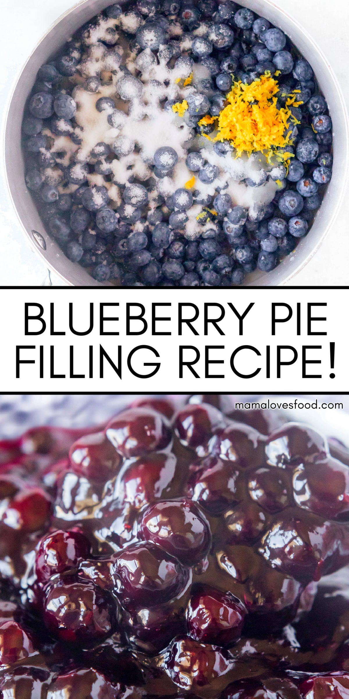 best blueberry pie filling recipe