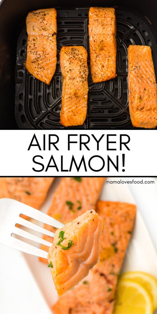 best air fryer salmon
