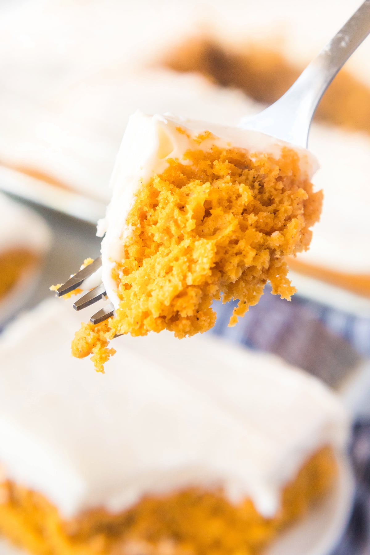 pumpkin spice sheet cake with cream cheese frosting