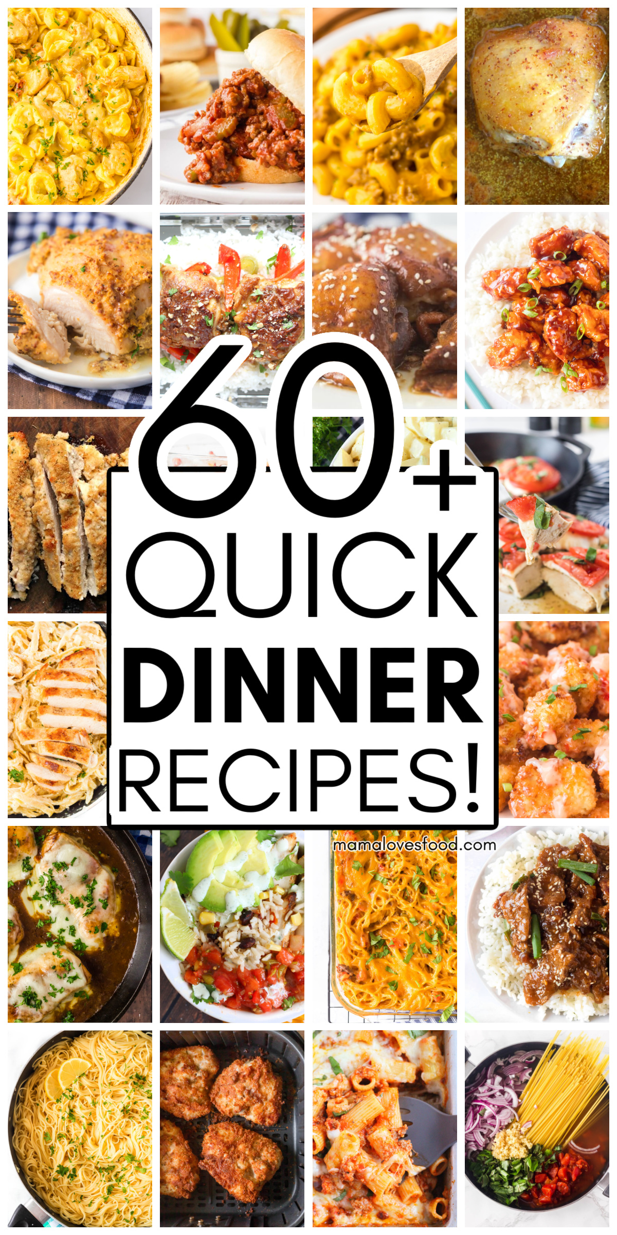 quick weeknight dinner recipes