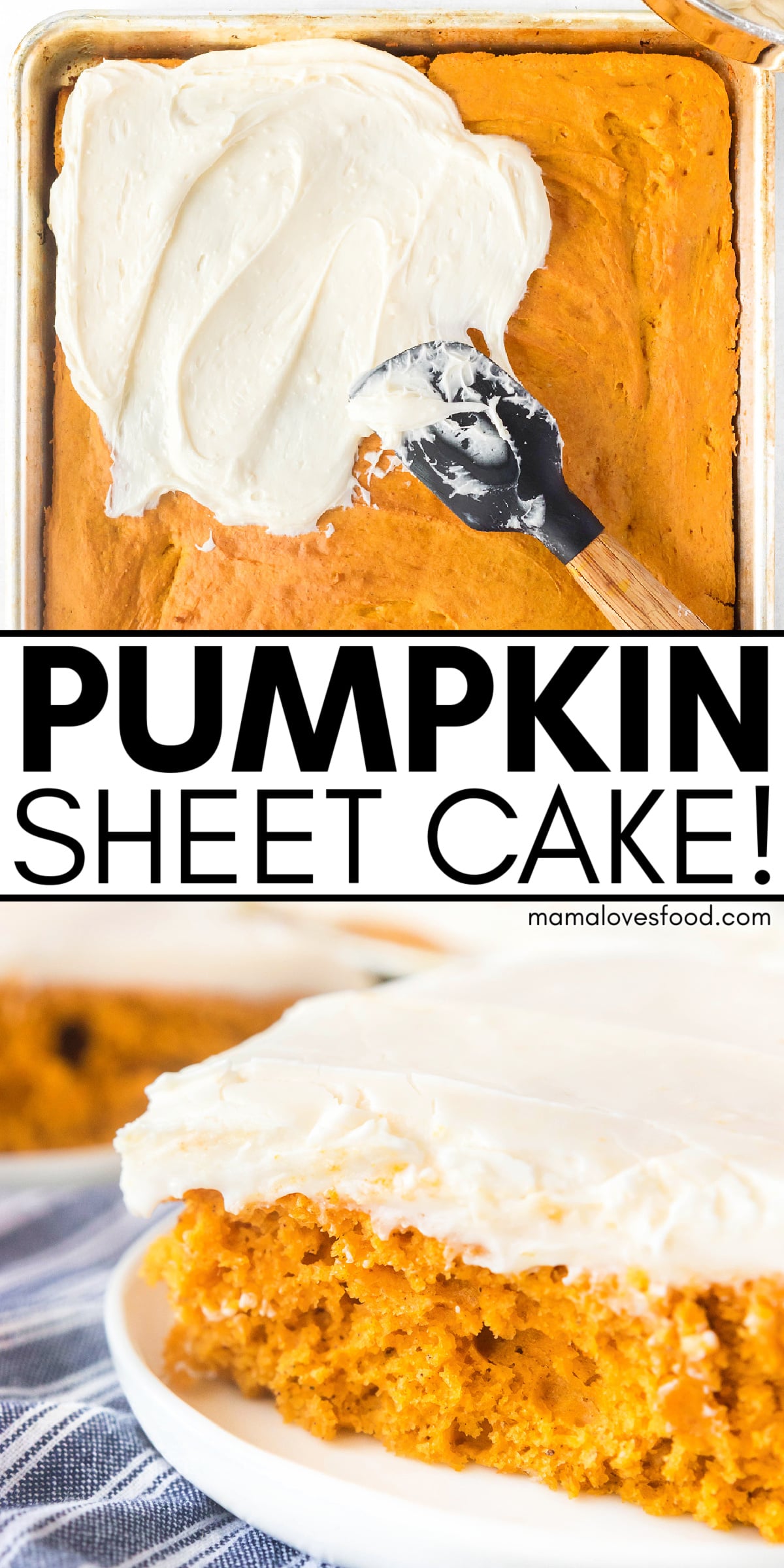 recipe pumpkin sheet cake